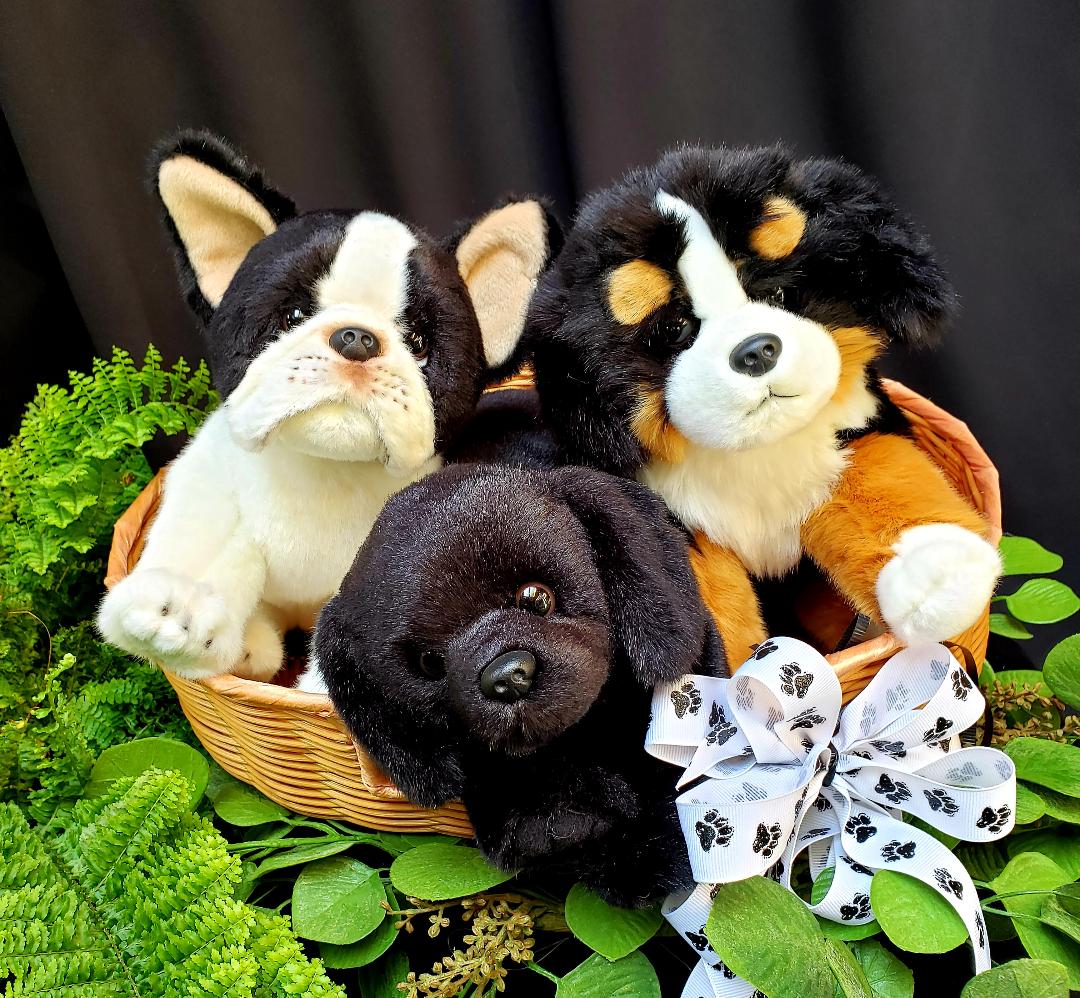 Bearington BLACK DOG
